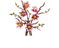 LEGO BOTANICALS 11510 Gałązki magnolii - 1489546 - zdjęcie 3